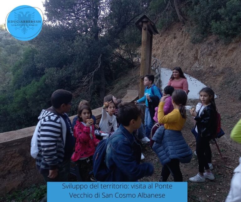 scheda attività sviluppo del territorio 2