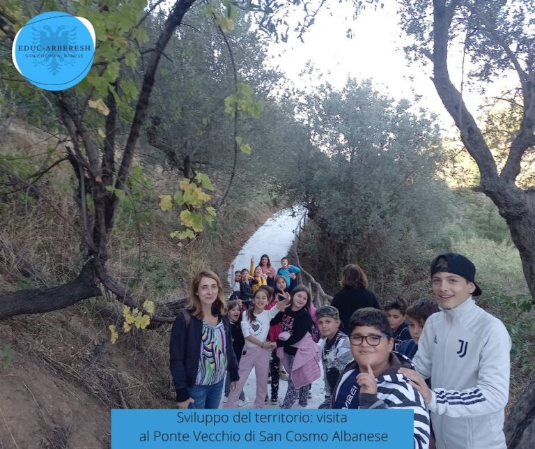 scheda attività sviluppo del territorio